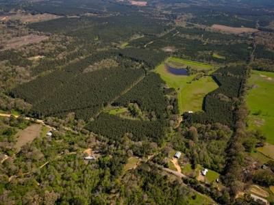 155 acres for Sale Hunting Land in Jefferson County MS - image 19