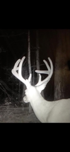 155 acres for Sale Hunting Land in Jefferson County MS - image 29