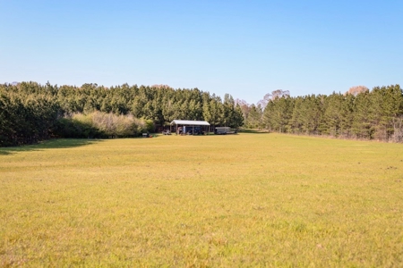 155 acres for Sale Hunting Land in Jefferson County MS - image 9