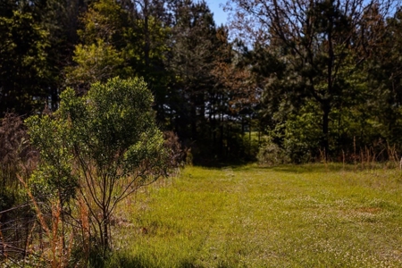 155 acres for Sale Hunting Land in Jefferson County MS - image 5