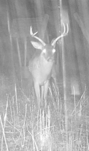 155 acres for Sale Hunting Land in Jefferson County MS - image 25