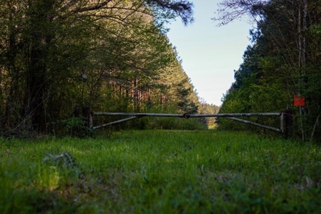 155 acres for Sale Hunting Land in Jefferson County MS - image 17