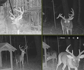 155 acres for Sale Hunting Land in Jefferson County MS - image 34
