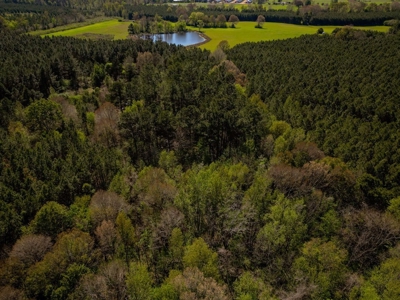 155 acres for Sale Hunting Land in Jefferson County MS - image 20
