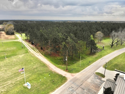 Land for sale Hartford, AL - image 1