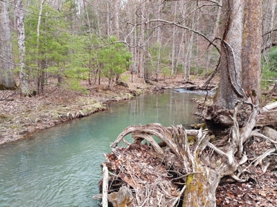Land for Sale in Wythe County VA at Auction - image 8