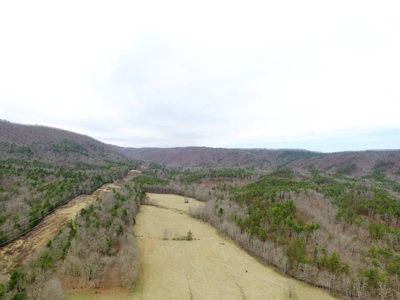 Land for Sale in Wythe County VA at Auction - image 19