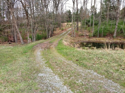 Land for Sale in Wythe County VA at Auction - image 12