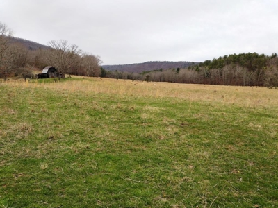 Land for Sale in Wythe County VA at Auction - image 1