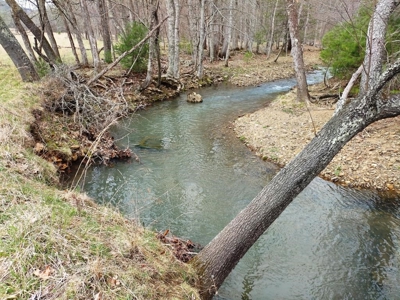 Land for Sale in Wythe County VA at Auction - image 9