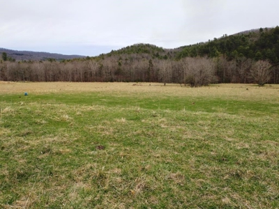 Land for Sale in Wythe County VA at Auction - image 11