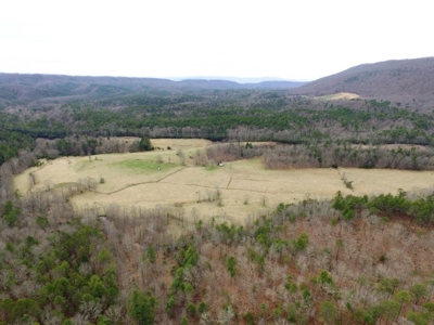 Land for Sale in Wythe County VA at Auction - image 25