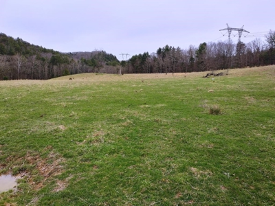 Land for Sale in Wythe County VA at Auction - image 4