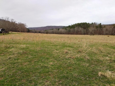 Land for Sale in Wythe County VA at Auction - image 5