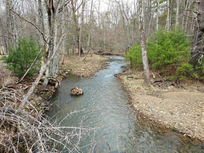 Land for Sale in Wythe County VA at Auction - image 10