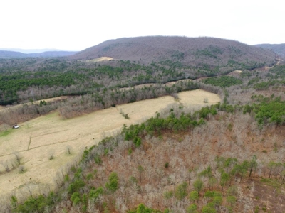 Land for Sale in Wythe County VA at Auction - image 24