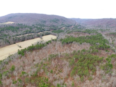 Land for Sale in Wythe County VA at Auction - image 26