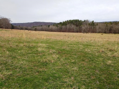 Land for Sale in Wythe County VA at Auction - image 2