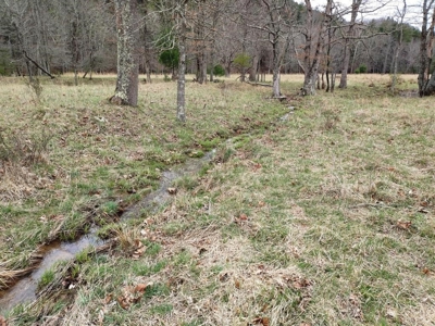 Land for Sale in Wythe County VA at Auction - image 6