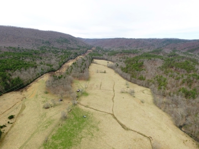 Land for Sale in Wythe County VA at Auction - image 21