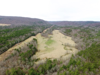 Land for Sale in Wythe County VA at Auction - image 20