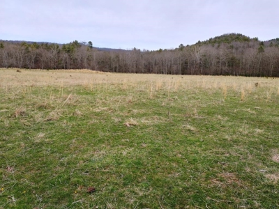 Land for Sale in Wythe County VA at Auction - image 3