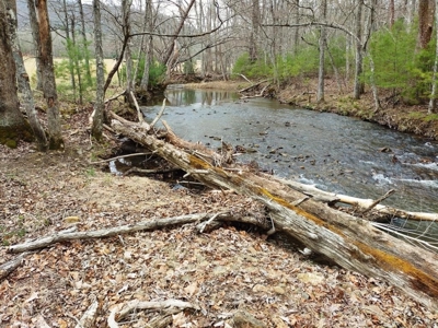 Land for Sale in Wythe County VA at Auction - image 7