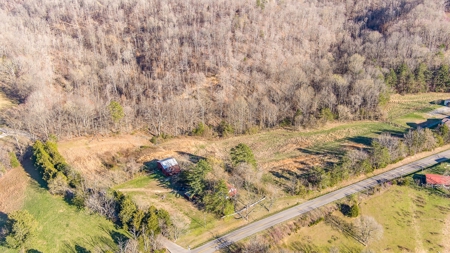 Absolute Auction - Online Only - Acreage in Albany, KY - image 4