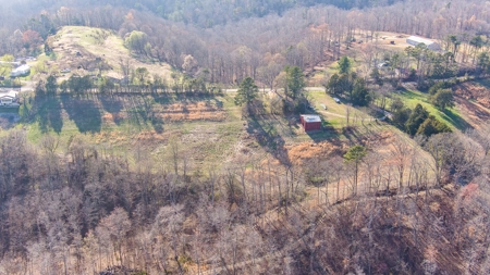 Absolute Auction - Online Only - Acreage in Albany, KY - image 10