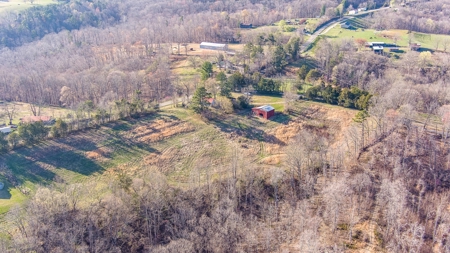 Absolute Auction - Online Only - Acreage in Albany, KY - image 8