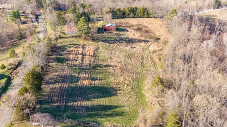 Absolute Auction - Online Only - Acreage in Albany, KY - image 12
