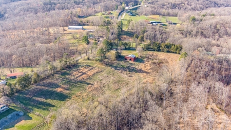 Absolute Auction - Online Only - Acreage in Albany, KY - image 9