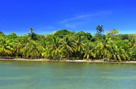Titled Beachfront Lot on Isla Carenero, Bocas del Toro - image 5