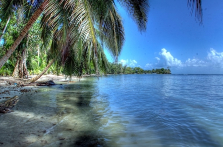 Titled Beachfront Lot on Isla Carenero, Bocas del Toro - image 3