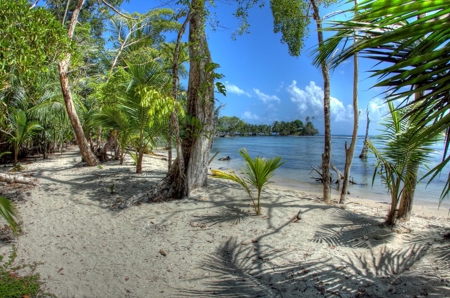 Titled Beachfront Lot on Isla Carenero, Bocas del Toro - image 2