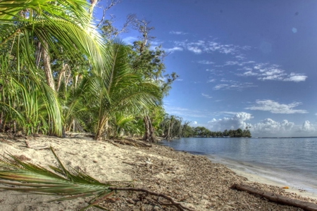 Titled Beachfront Lot on Isla Carenero, Bocas del Toro - image 1