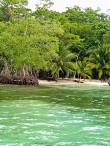 Titled Beachfront Lot on Isla Carenero, Bocas del Toro - image 6