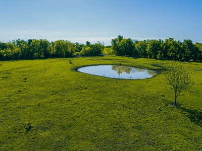 Cattle Ranch & Recreational Land For Sale Paris TX Lamar Co - image 11