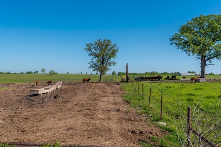 Cattle Ranch & Recreational Land For Sale Paris TX Lamar Co - image 36