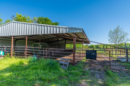 Cattle Ranch & Recreational Land For Sale Paris TX Lamar Co - image 39
