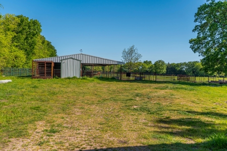 Cattle Ranch & Recreational Land For Sale Paris TX Lamar Co - image 38