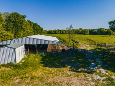 Cattle Ranch & Recreational Land For Sale Paris TX Lamar Co - image 9