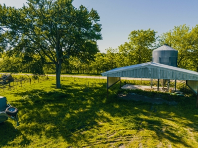 Cattle Ranch & Recreational Land For Sale Paris TX Lamar Co - image 10