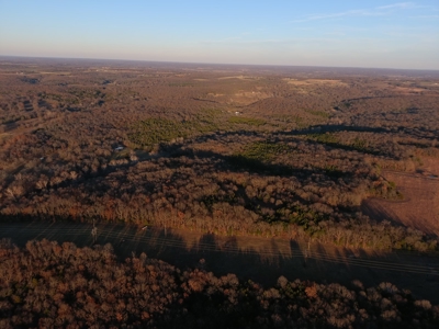 188 +/- Acre Farm & Hunting Property For Sale in SW Missouri - image 16