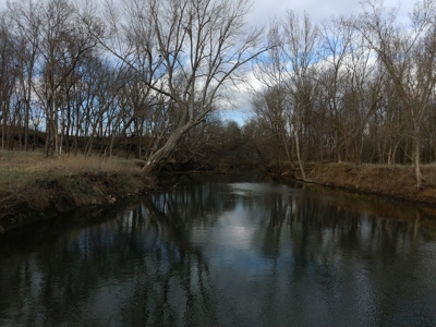 188 +/- Acre Farm & Hunting Property For Sale in SW Missouri - image 17
