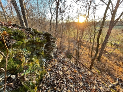 188 +/- Acre Farm & Hunting Property For Sale in SW Missouri - image 3