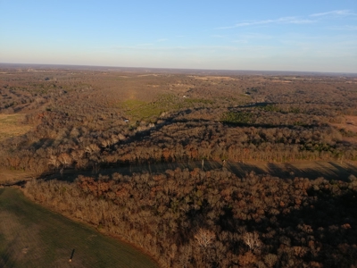 188 +/- Acre Farm & Hunting Property For Sale in SW Missouri - image 10