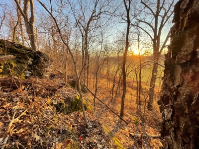 188 +/- Acre Farm & Hunting Property For Sale in SW Missouri - image 2