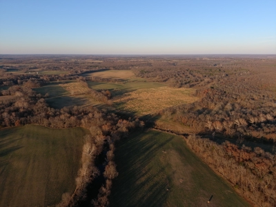 188 +/- Acre Farm & Hunting Property For Sale in SW Missouri - image 9