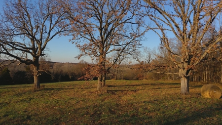 188 +/- Acre Farm & Hunting Property For Sale in SW Missouri - image 7